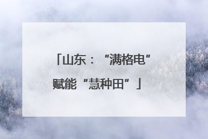 山东：“满格电”赋能“慧种田”