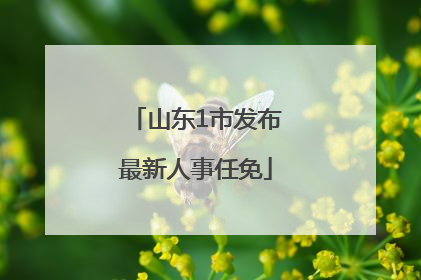 山东1市发布最新人事任免