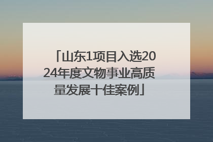 山东1项目入选2024年度文物事业高质量发展十佳案例