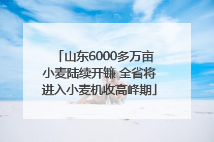 山东6000多万亩小麦陆续开镰 全省将进入小麦机收高峰期