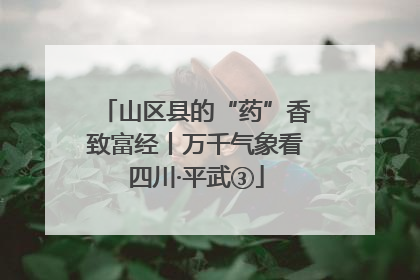 山区县的“药”香致富经丨万千气象看四川·平武③