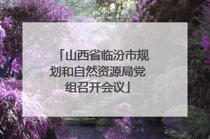 山西省临汾市规划和自然资源局党组召开会议