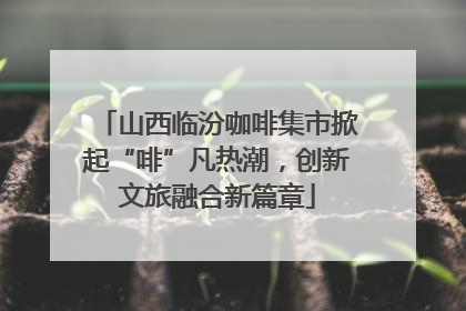 山西临汾咖啡集市掀起“啡”凡热潮，创新文旅融合新篇章