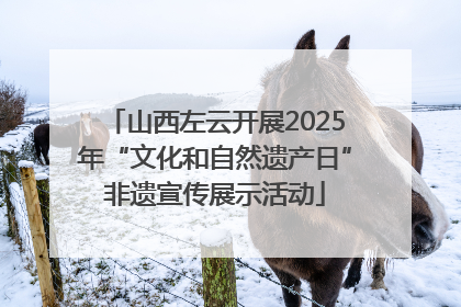 山西左云开展2025年“文化和自然遗产日”非遗宣传展示活动