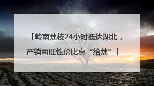 岭南荔枝24小时抵达湖北，产销两旺性价比真“给荔”