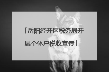岳阳经开区税务局开展个体户税收宣传