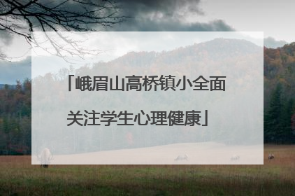 峨眉山高桥镇小全面关注学生心理健康