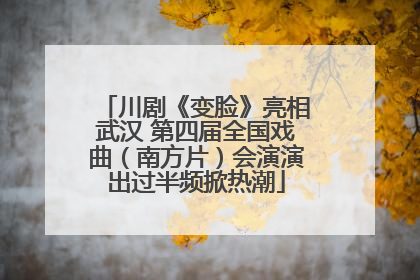 川剧《变脸》亮相武汉 第四届全国戏曲（南方片）会演演出过半频掀热潮