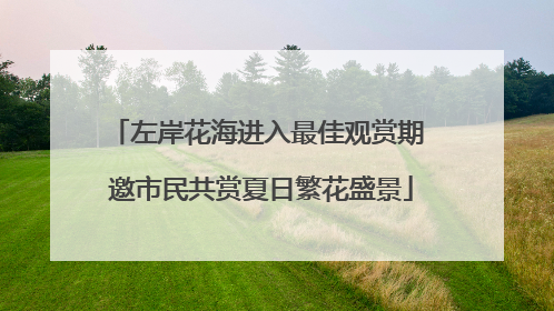 左岸花海进入最佳观赏期 邀市民共赏夏日繁花盛景