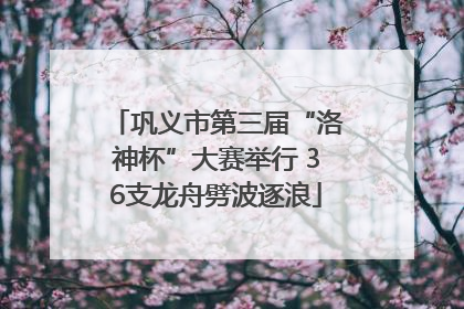巩义市第三届“洛神杯”大赛举行 36支龙舟劈波逐浪