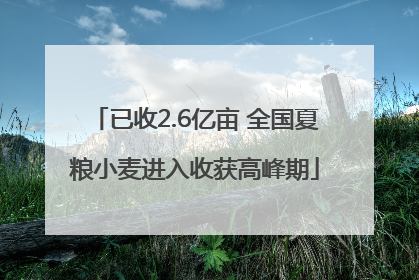 已收2.6亿亩 全国夏粮小麦进入收获高峰期