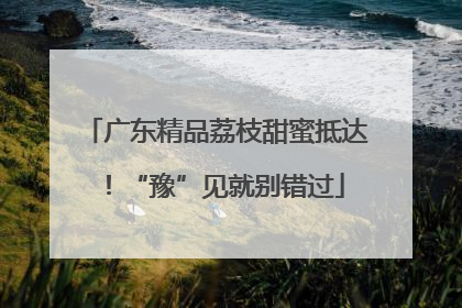 广东精品荔枝甜蜜抵达！“豫”见就别错过