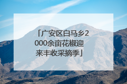 广安区白马乡2000余亩花椒迎来丰收采摘季