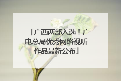 广西两部入选！广电总局优秀网络视听作品最新公布