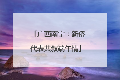 广西南宁：新侨代表共叙端午情