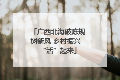 广西北海破陈规树新风 乡村振兴“活”起来