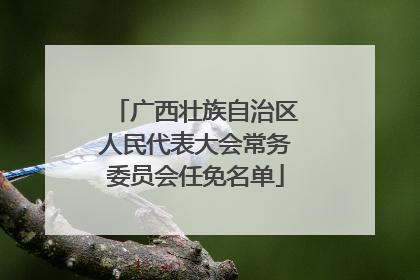 广西壮族自治区人民代表大会常务委员会任免名单