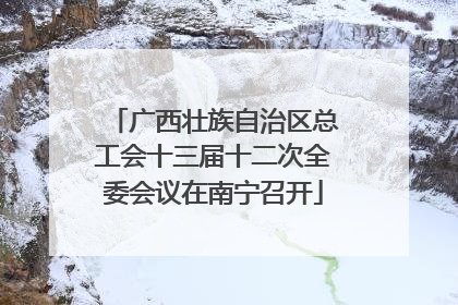 广西壮族自治区总工会十三届十二次全委会议在南宁召开