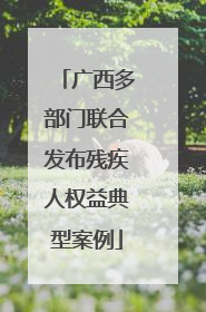 广西多部门联合发布残疾人权益典型案例