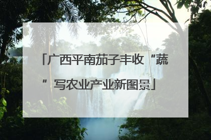 广西平南茄子丰收“蔬”写农业产业新图景