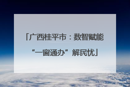 广西桂平市：数智赋能“一窗通办”解民忧
