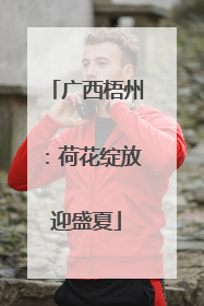 广西梧州：荷花绽放迎盛夏