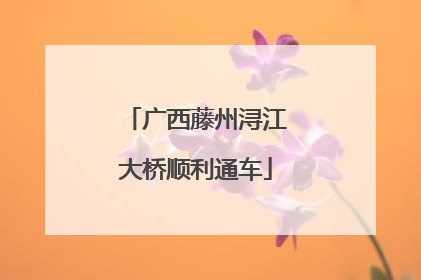 广西藤州浔江大桥顺利通车