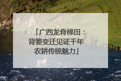 广西龙脊梯田：背篓变迁见证千年农耕传统魅力