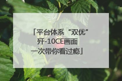 平台体系“双优” 歼-10CE画面一次带你看过瘾