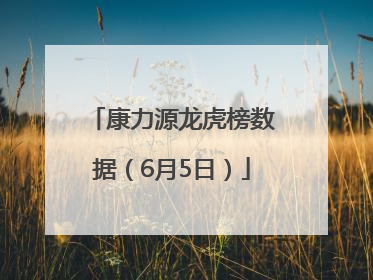 康力源龙虎榜数据（6月5日）