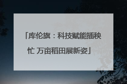 库伦旗：科技赋能插秧忙 万亩稻田展新姿