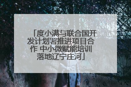 度小满与联合国开发计划署推进项目合作 中小微赋能培训落地辽宁庄河