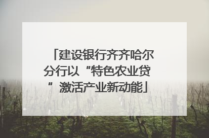 建设银行齐齐哈尔分行以“特色农业贷”激活产业新动能