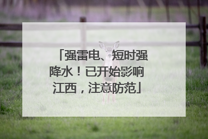 强雷电、短时强降水！已开始影响江西，注意防范