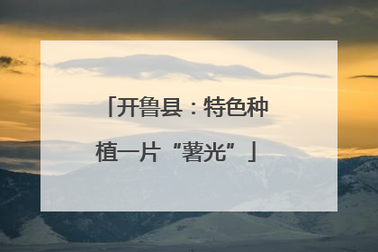 开鲁县：特色种植一片“薯光”