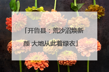 开鲁县：荒沙沼焕新颜 大地从此着绿衣