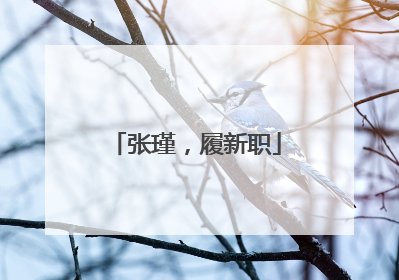 张瑾，履新职