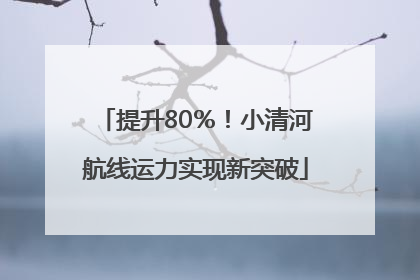 提升80％！小清河航线运力实现新突破