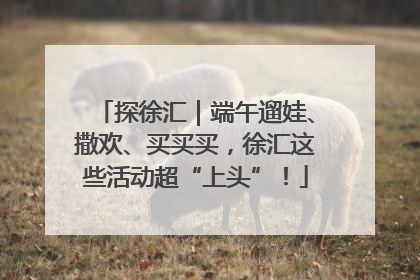 探徐汇｜端午遛娃、撒欢、买买买，徐汇这些活动超“上头”！