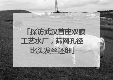 探访武汉首座双膜工艺水厂，筛网孔径比头发丝还细
