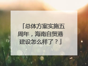 总体方案实施五周年，海南自贸港建设怎么样了？