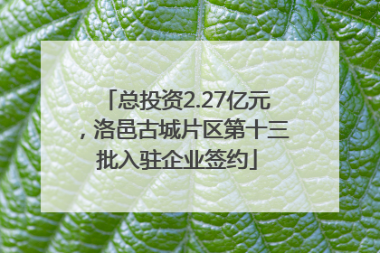 总投资2.27亿元，洛邑古城片区第十三批入驻企业签约