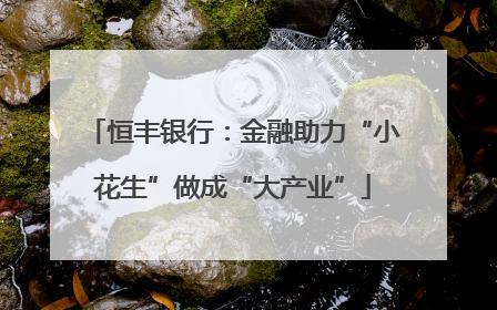 恒丰银行：金融助力“小花生”做成“大产业”