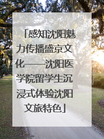 感知沈阳魅力传播盛京文化——沈阳医学院留学生沉浸式体验沈阳文旅特色