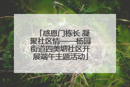 感恩门栋长 凝聚社区情——杨园街道四美塘社区开展端午主题活动