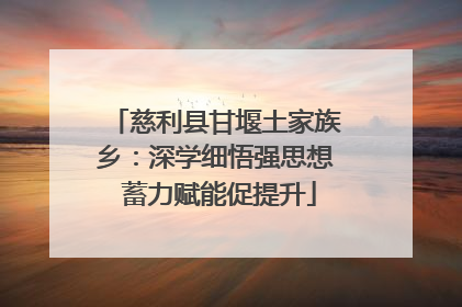 慈利县甘堰土家族乡：深学细悟强思想 蓄力赋能促提升