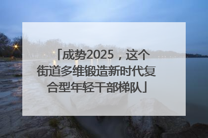 成势2025，这个街道多维锻造新时代复合型年轻干部梯队