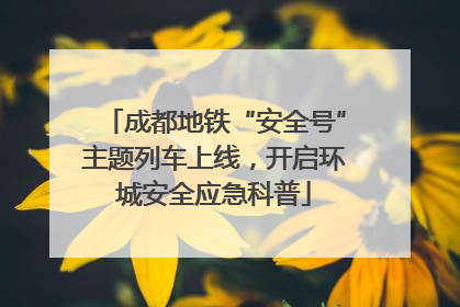 成都地铁“安全号”主题列车上线，开启环城安全应急科普