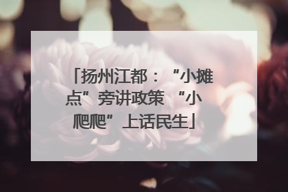 扬州江都：“小摊点”旁讲政策 “小爬爬”上话民生