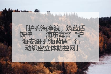 护碧海净浪，筑蓝盾铁壁——浦东海警“沪海安澜·碧海蓝盾”行动织密立体防控网